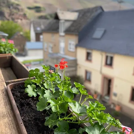 Winzerhaus Im Oberdorf - U - Auch Kombinierbar 3* Erden