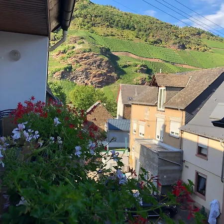 Guest house Winzerhaus Im Oberdorf - U - Auch Kombinierbar