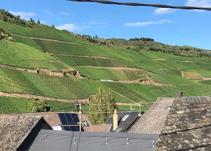 Winzerhaus Im Oberdorf - U - Auch Kombinierbar Gasthof