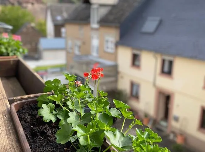 Winzerhaus Im Oberdorf - U - Auch Kombinierbar 3* Erden