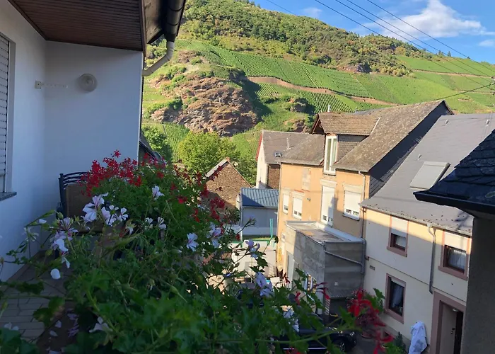 Gasthof Winzerhaus Im Oberdorf - U - Auch Kombinierbar